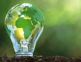 International Energy Saving Day